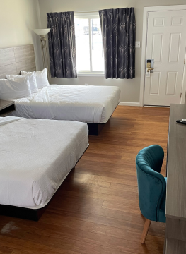 {{brizy_dc_image_alt imageSrc=